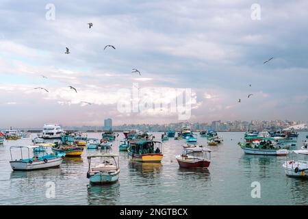 Porto di barche da pesca galleggianti sulle acque del Mar Blu, Alessandria, Egitto. Africa. Foto Stock