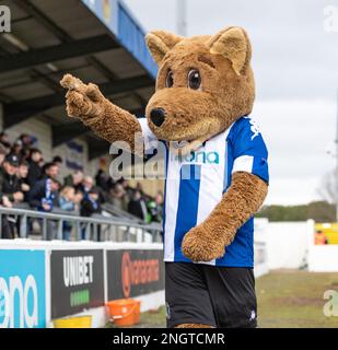 Chester, Cheshire, Inghilterra 18th febbraio 2023. Chester mascotte Lupus, durante il Chester Football Club V Boston United Football Club , nella Vanarama National League North (Credit Image: ©Cody Froggatt/Alamy Live News) Foto Stock