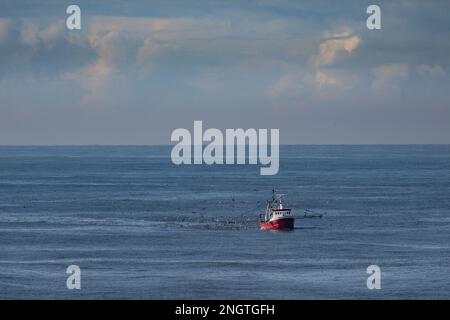Una taglierina con reti di trascinamento sollevate sul Mare del Nord Foto Stock
