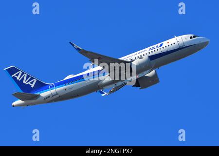 Tokyo, Giappone - 26 dicembre 2020: Tutti gli aerei passeggeri della Nippon Airways (ANA) Airbus A320-200N (JA214A). Foto Stock
