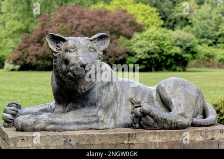 Una leonessa che custodisce l'entrata del tempio circolare presso l'Abbazia di Anglesey Foto Stock
