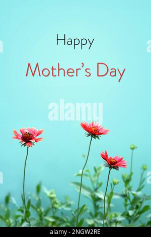 Tessera Happy Mothers Day con fiori di gaillardia isolati su sfondo verde. Festa della mamma biglietto di auguri floreale concetto. Foto Stock
