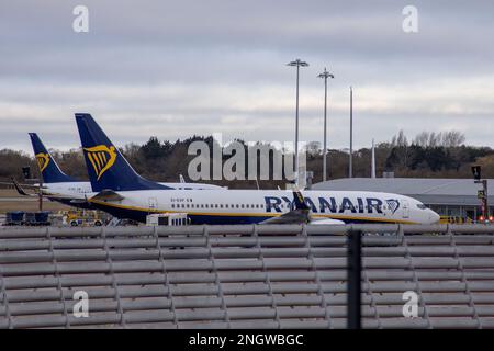 Aeroporto Stansted di Londra, Regno Unito - 17 febbraio 2023: Aerei RYANAIR. Credito: Sinai Noor/alamy Foto Stock