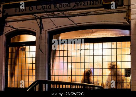 La silhouette sfocata di una coppia in conversazione dietro una vetrata del pub. Intrigante. Ombra, argomento. Romantico. Amici, coppia. Foto Stock