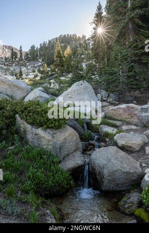 Creek e Sunburst nel Sequoia National Park sotto alta Peak Foto Stock