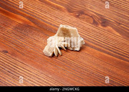 Desert Rose. Minerale naturale primo piano del grappolo di pietra da cristallo di gesso di sabbia. Foto Stock