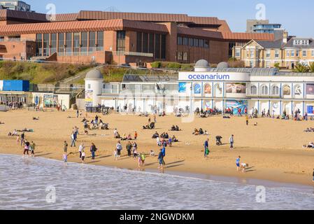 Bournemouth, Dorset, Regno Unito, 19th febbraio 2023, Meteo. La gente sulla spiaggia la domenica soleggiata come le temperature aumentano a 14 gradi nel sud dell'Inghilterra in caldo sole di fine inverno. Credit: Paul Biggins/Alamy Live News Foto Stock