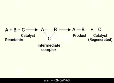 Reazioni chimiche del catalizzatore e del prodotto. Illustrazione Vettoriale