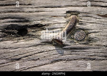 Al molo, il tempo lascia segni sul legno. Corde, chiodi e viti lasciano segni nel legno. Foto Stock