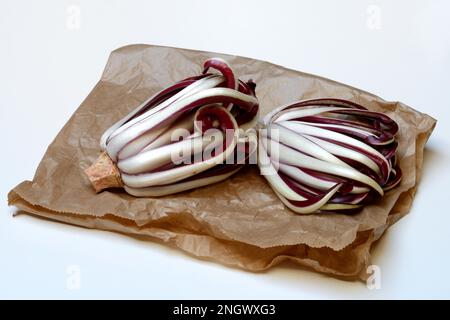 Radicchio, Cicorino rosso Tardivo, su carta da imballaggio Foto Stock