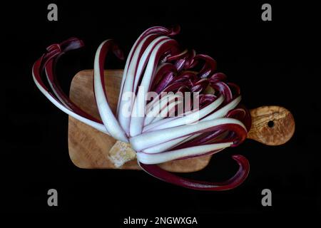 Radicchio, Cicorino rosso Tardivo su tavola di legno Foto Stock