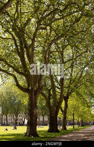 BRISTOL, Regno Unito - 14 maggio : Vista del Queen's Park a Bristol il 14 maggio 2019. Persone non identificate Foto Stock