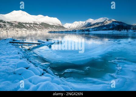 Una serena vista invernale mostra montagne drappeggiate di neve che circondano un fiordo parzialmente ghiacciato sotto un cielo azzurro. Foto Stock