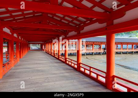 Itsukushima Miyajima Giappone. Santuario di Itsukushima Foto Stock