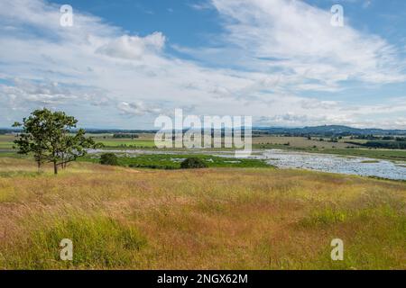 Baskett Slough National Wildlife Refuge, vista da Baskett Butte, con prateria e paludi nel paesaggio Foto Stock