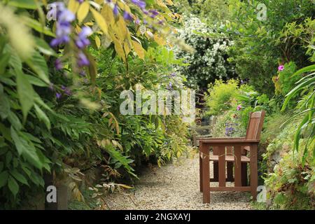 Tranquillo giardino scena con una panca di legno su un tranquillo giardino sentiero. Tranquillo e lussureggiante spazio giardino per rilassarsi. Paradiso nel cortile per la meditazione. Serenità Foto Stock