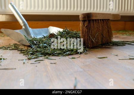 Pulire gli aghi caduti dell'albero di Natale su un pavimento in parquet di legno con una scopa e una paletta Foto Stock