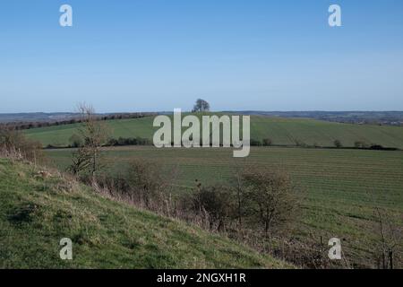 Viste a Wittenham Clumps, Oxfordshire, il 19th 2023 febbraio. Foto Stock