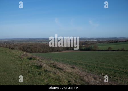 Viste a Wittenham Clumps, Oxfordshire, il 19th 2023 febbraio. Foto Stock