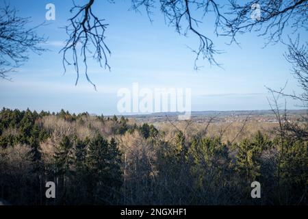 Viste a Wittenham Clumps, Oxfordshire, il 19th 2023 febbraio. Foto Stock