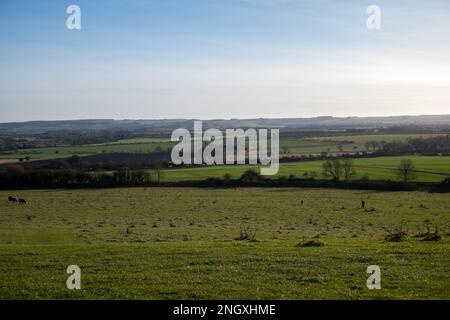 Viste a Wittenham Clumps, Oxfordshire, il 19th 2023 febbraio. Foto Stock