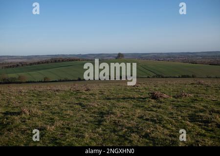 Viste a Wittenham Clumps, Oxfordshire, il 19th 2023 febbraio. Foto Stock