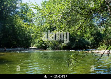 Blühende Natur am Grenzfluss Doubs Foto Stock