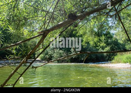 Blühende Natur am Grenzfluss Doubs Foto Stock