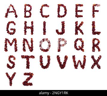 Alfabeto inglese con petali di rosa rossi secchi isolati su sfondo bianco. Lettere alfabetiche A - Z di petali di rosa rossa. Concetto tipografico con natu Foto Stock