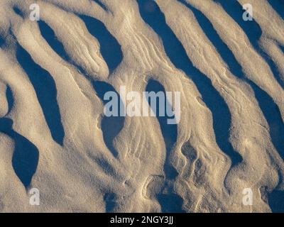 I modelli in dune al Sand Dollar Beach, Isola di Magdalena, Baja California Sur, Messico, America del Nord Foto Stock