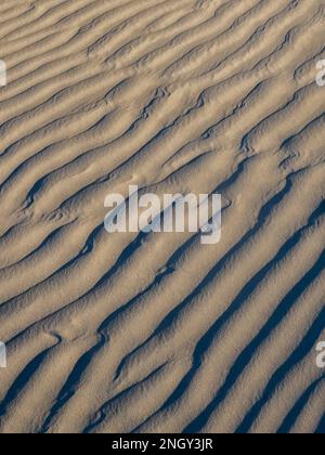 I modelli in dune al Sand Dollar Beach, Isola di Magdalena, Baja California Sur, Messico, America del Nord Foto Stock