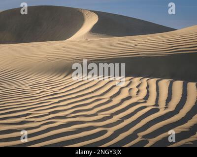 I modelli in dune al Sand Dollar Beach, Isola di Magdalena, Baja California Sur, Messico, America del Nord Foto Stock