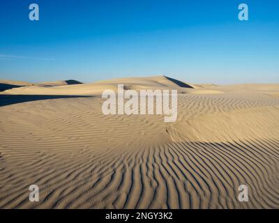 I modelli in dune al Sand Dollar Beach, Isola di Magdalena, Baja California Sur, Messico, America del Nord Foto Stock