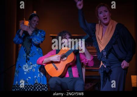 Malaga, Spagna - 15 gennaio 2023: Spettacolo di flamenco al Museo musicale interattivo, la foto è stata fatta durante un intervallo speciale per scattare foto Foto Stock