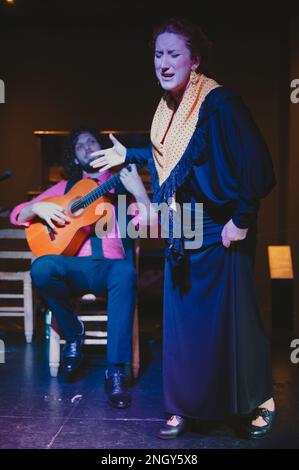 Malaga, Spagna - 15 gennaio 2023: Spettacolo di flamenco al Museo musicale interattivo, la foto è stata fatta durante un intervallo speciale per scattare foto Foto Stock