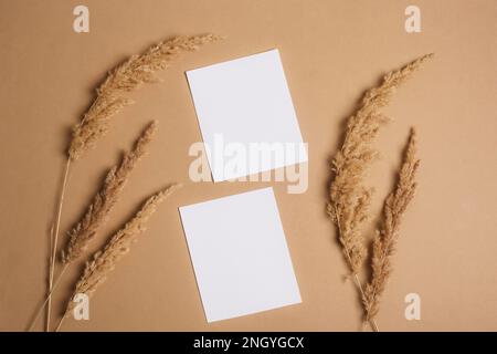 Carte in fogli di carta bianca e pampas erba su sfondo beige. Vista dall'alto, piatto, mockup Foto Stock