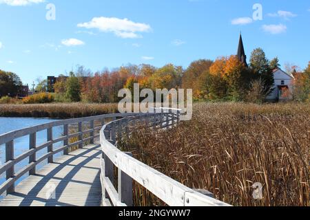 Un meandro passerella in legno sulla palude circondata da canne secche in autunno che conducono a Sackville, NB centro città visto all'orizzonte Foto Stock