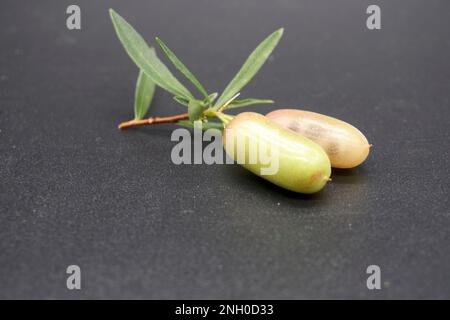 Primo piano del frutto di maturazione di Billardiera Cymosa o Sweet Apple Berry una pianta usata come Bush Food dagli aborigeni australiani Foto Stock