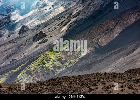 Il paesaggio selvaggio della Valle del Bove sull'Etna, Sicilia, un'enorme valle piena di cenere e lava da migliaia di anni di attività vulcanica Foto Stock