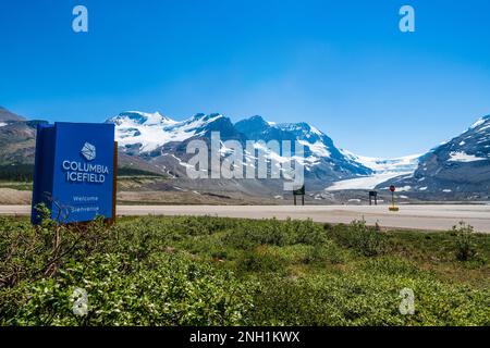 Alberta, Canada - Giugno 28 2021 : Ghiacciaio Columbia Icefield in estate 2021. Jasper National Park. Montagne Rocciose canadesi. Foto Stock