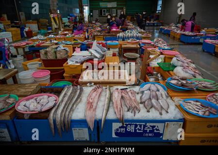 Il mercato del pesce di Jagalchi il più grande mercato del pesce di Busan, Corea del Sud, il 15 febbraio 2023 Foto Stock