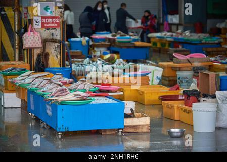 Il mercato del pesce di Jagalchi il più grande mercato del pesce di Busan, Corea del Sud, il 15 febbraio 2023 Foto Stock