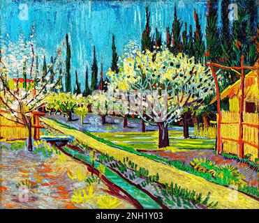 Frutteto delimitato da cipressi (1888) di Vincent Van Gogh. Originale della Yale University Art Gallery. Foto Stock