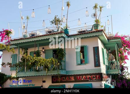 Bougainvillea porpora grazioso e palme crescono sulla terrazza sul tetto del ristorante Mey & Meze nel villaggio di Kalkan; Turchia. Luglio 2022 Foto Stock