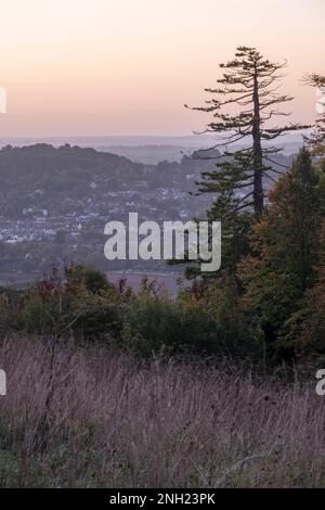 Vista elevata della città inglese di Dorking all'alba dalle colline del Surrey Foto Stock