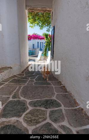 Vista del villaggio di Chora dal cancello d'ingresso del quartiere di Castro, Folegandros Foto Stock