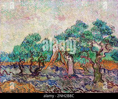 L'Olive Orchard (1889) di Vincent van Gogh. Originale dalla Galleria Nazionale d'Arte Foto Stock