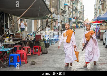 Bhikkhuni a Chinatown di Yangon. Il Myanmar è etnicamente diversificato con 51 milioni di abitanti appartenenti a 135 gruppi etnici. Foto Stock