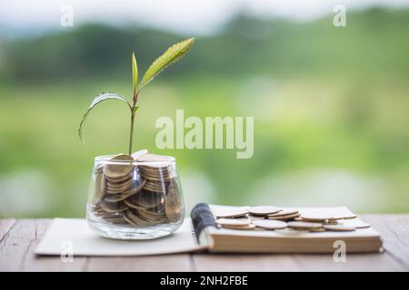 Step of coins stack con albero crescente in cima, denaro, risparmio e investimenti o pianificazione finanziaria futura, concetto per il business, innovazione, crescita e. Foto Stock