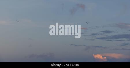 Bel cielo nuvoloso colorato sera. Cielo con nuvole al tramonto. Sfondo del cielo astratto. Foto Stock